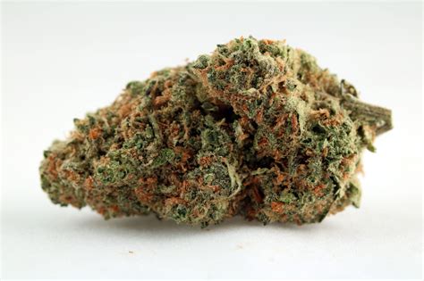 1 and Sweet Pink Grapefruit, expect pungent citrusy notes as you take a hit. . Skunklato strain